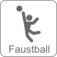 icon faustball